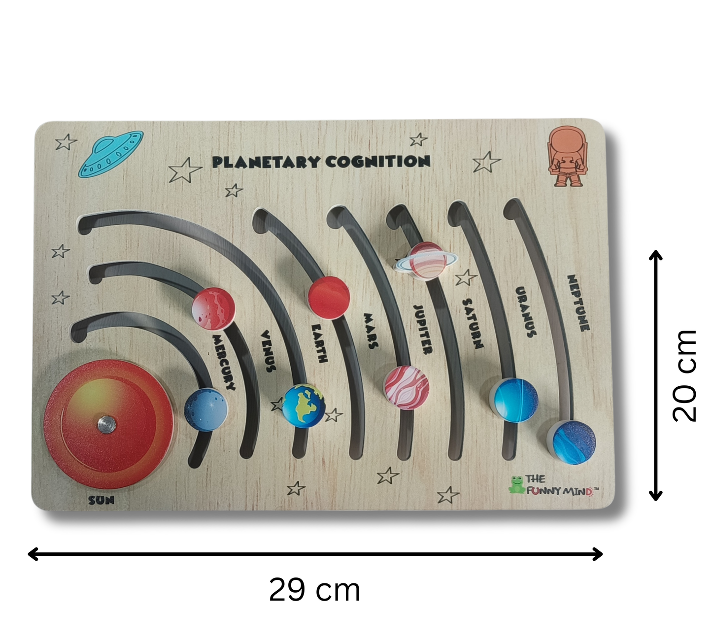 Planetary Cognition